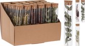 Reageerbuisje met droogbloemen 15cm (1 stuk) assorti
