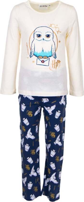 Pyjama enfant - Harry Potter - Hedwige - Ecru- Blauw - 6 ans / 116 cm |  bol.com