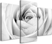 Trend24 - Canvas Schilderij - Witte Roos - Drieluik - Bloemen - 90x60x2 cm - Zwart