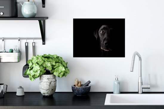 Stickers Stickers muraux - Un Labrador noir sur fond noir - 40x30 cm - Film adhésif