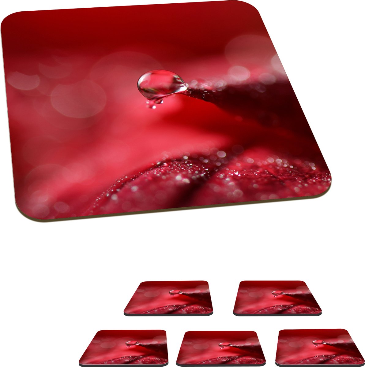 Onderzetters voor glazen - Kerst - Kerstbloem - Kerstmis - 10x10 cm - Glasonderzetters - 6 stuks