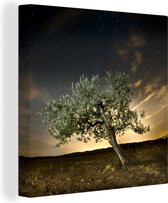Canvas Schilderij Een olijfboom onder een indrukwekkende lucht - 50x50 cm - Wanddecoratie