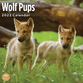 Wolf Pups Kalender 2022