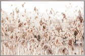 JUNIQE - Poster met kunststof lijst Wild Reeds -20x30 /Bruin & Ivoor