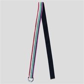 BELT STRIPE MULTI GLITTER