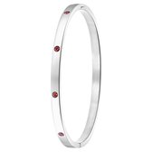 Lucardi - Dames Armband bangle geboortestenen - Staal - Armband - Cadeau - Stijlvol - Goudkleurig