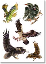 Tattoo cool birds - plaktattoo - tijdelijke tattoo - 14.8 cm x 10.5 cm (L x B)