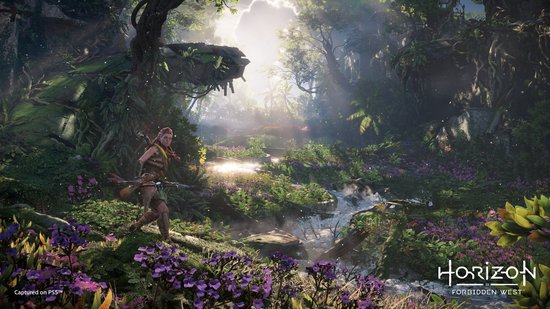 Horizon: Forbidden West - PS4