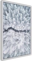 Poster - Winter Forest From a Bird's Eye View