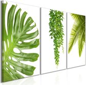 Schilderij - Beautiful Palm Trees (3 Parts).