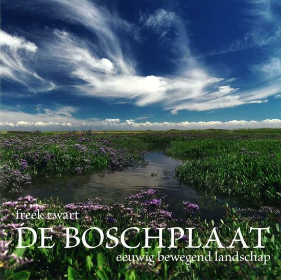 Cover van het boek 'De Boschplaat'