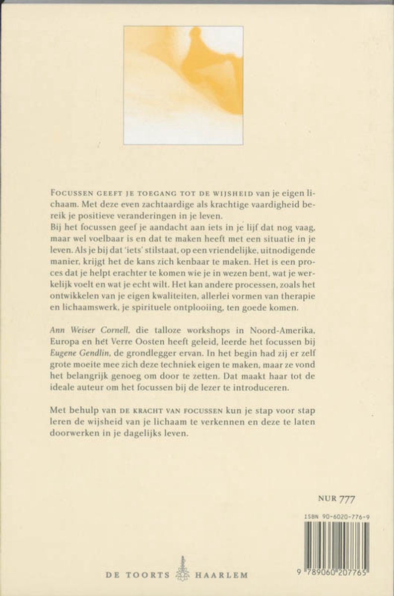 Achterkant van het boek 'De kracht van focussen' met tekst en een gele en oranje abstracte afbeelding.