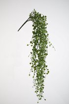 Kunstplant - Muehlenbeckia - topkwaliteit decoratie - 2 stuks - hangplant - Groen - 80 cm hoog