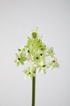 Kunstbloem - Ornithogalium - topkwaliteit decoratie - 2 stuks - zijden bloem - Groen - 81 cm hoog