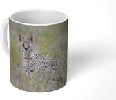 Mok - Verstopte serval in hoog gras - 350 ML - Beker
