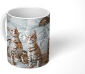 Mok - De kittens op een bed - 350 ML - Beker