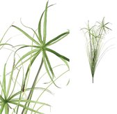 PTMD Leaves Plant Cupressus Uiengras Kunsttak - 87 x 46 x 126 cm - Groen