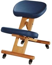 TAOline ergonomische kniestoel (Blauw) -