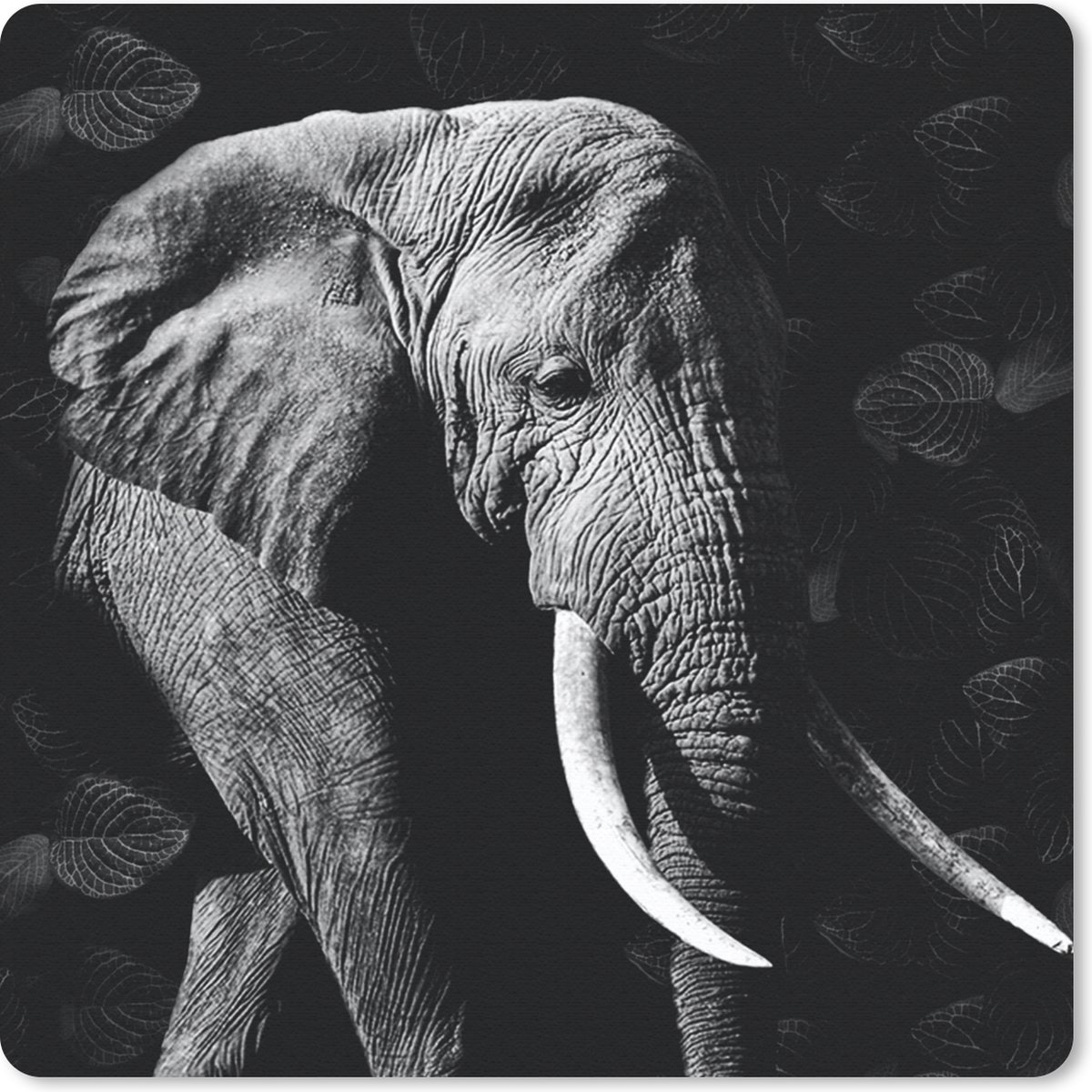 Muismat 30x30 cm - Mousepad Olifant - Tanden - Bladeren - Zwart - Wit - Muismatten