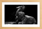 JUNIQE - Poster in houten lijst Frolicking Elephant -60x90 /Zwart