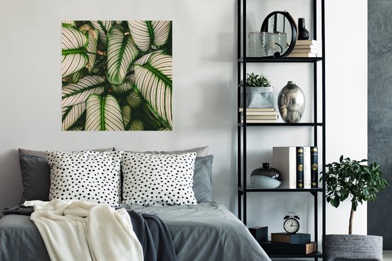 Poster Bladeren - Planten - Wit - 75x75 cm
