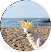 WallCircle - Wandcirkel - Muurcirkel - Een wit met gele kaketoe op het strand - Aluminium - Dibond - ⌀ 90 cm - Binnen en Buiten