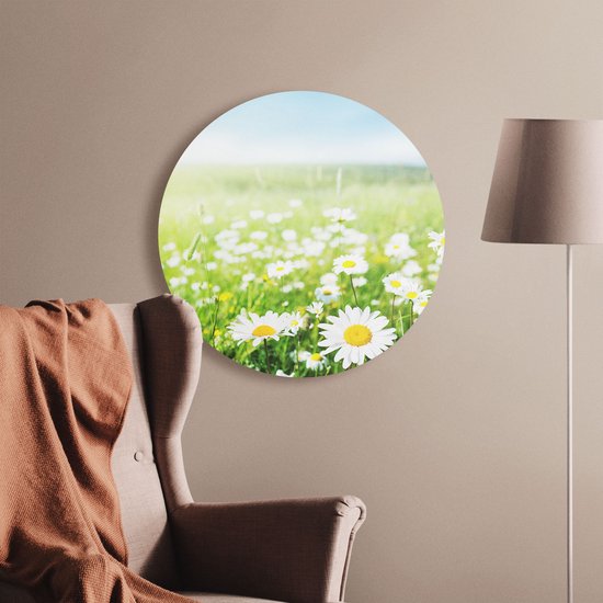 Artaza Dibond Cercle Mural Champ De Fleurs Champ De Marguerites - Fleurs - Ø 50 cm - Klein - Cercle Mural - Tableau Rond - Pour Intérieur et Extérieur