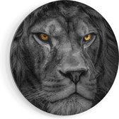 Artaza Dibond Muurcirkel Leeuw - Leeuwenkop - Zwart Wit - Ø 70 cm - Wandcirkel - Rond Schilderij - Voor Binnen en Buiten