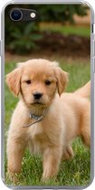 Geschikt voor iPhone 8 hoesje - Golden Retriever pup in het groene gras - Siliconen Telefoonhoesje