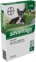 Advantage 40 Hond 4 pip - Anti vlooien en luizenmiddel - 0.4 ml - 1.5-4 Kg