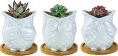 Luxe Bamboe Houten Boom met 3 Keramiek Uil Bloempotten/Plantenpotten op Standaard/Voet voor Binnen en Buiten - Modern Design Bloempot/Plantenpot op Poten/Pootjes-Plantenbak Mini Ca