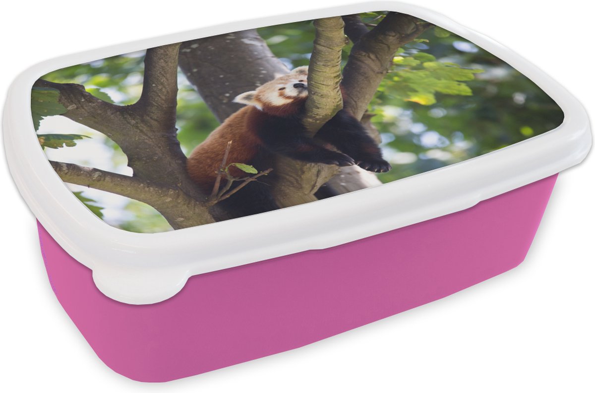 Broodtrommel Roze - Lunchbox - Brooddoos - Rode panda in de boom - 18x12x6 cm - Kinderen - Meisje
