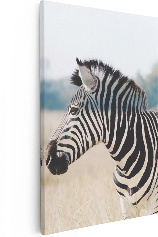 Artaza - Canvas Schilderij - Zebra met Doorzichtige Strepen - Foto Op Canvas - Canvas Print