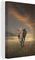 Canvas Schilderij Olifant loopt richting de camera in de savanne - 60x90 cm - Wanddecoratie