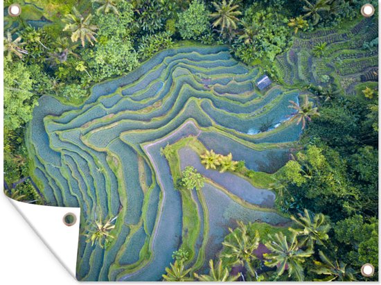 Tuinschilderij Afbeelding van een rijstveld in Bali gemaakt met een drone - 80x60 cm - Tuinposter - Tuindoek - Buitenposter