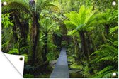 Tuinposter - Tuindoek - Tuinposters buiten - Houten pad door de jungle - 120x80 cm - Tuin