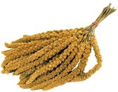 JUNAI Trosgierst Chinees 15 KG