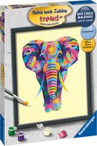 Ravensburger Schilder Op Nummer Kleurrijke Olifant