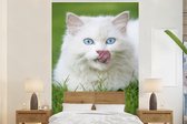 Behang - Fotobehang Perzische kat met blauwe ogen in het groene gras - Breedte 155 cm x hoogte 240 cm