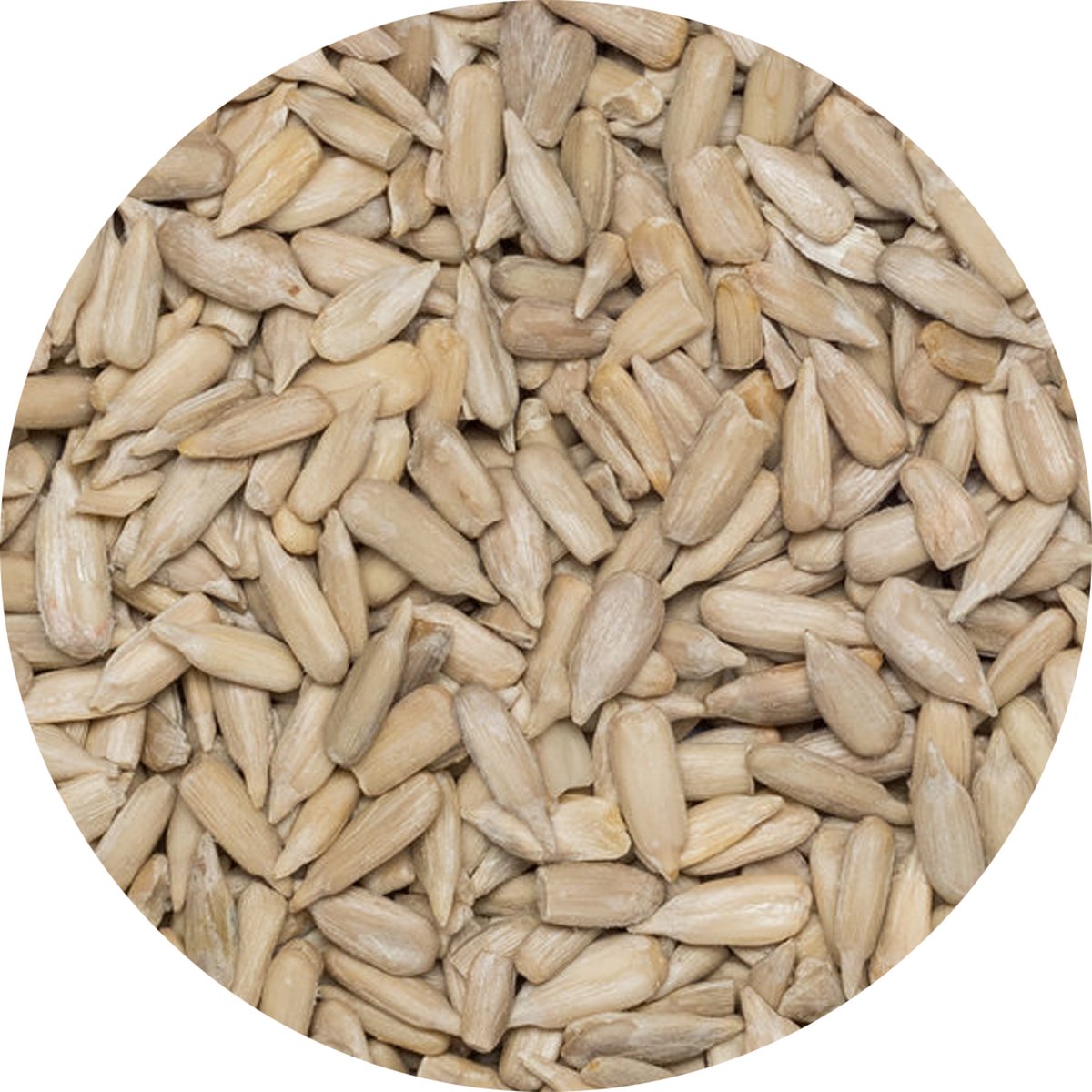 Goedkoopste Zonnebloem Pitten Heel - 1 Kg - Holyflavours