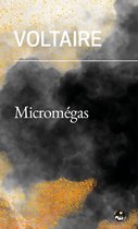 Littératures de l'imaginaire - Micromégas – Histoire philosophique