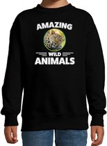 Sweater jaguar - zwart - kinderen - amazing wild animals - cadeau trui jaguar / jachtluipaarden liefhebber 7-8 jaar (122/128)