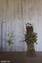 25 stuks | Rode beuk Blote wortel 60-80 cm - Bladverliezend - Populair bij vogels - Prachtige herfstkleur - Snelle groeier