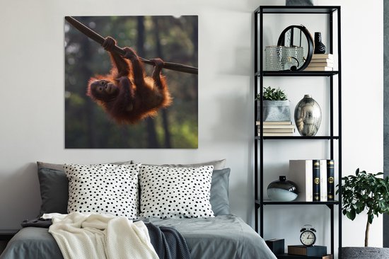 Tableau sur Toile Jeune orang-outan suspendu à une branche - 90x90 cm - Décoration murale