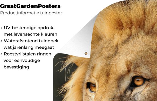 Affiche de clôture Lion - Profil - Chasse - 100x200 cm - Toile de jardin