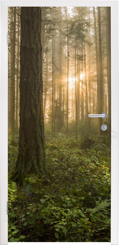 Deursticker Bos - Zon - Licht - 95x215 cm - Deurposter