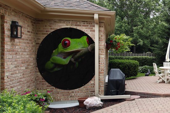 Tuincirkel Roodoogmakikikker op zwarte achtergrond - 150x150 cm - Ronde Tuinposter - Buiten