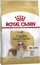 RC CAVALIER KING CHARLES 3KG