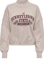 Jacqueline de Yong Trui Jdychris L/s Print Sweat Jrs 15245601 Chateau Gray Dames Maat - M