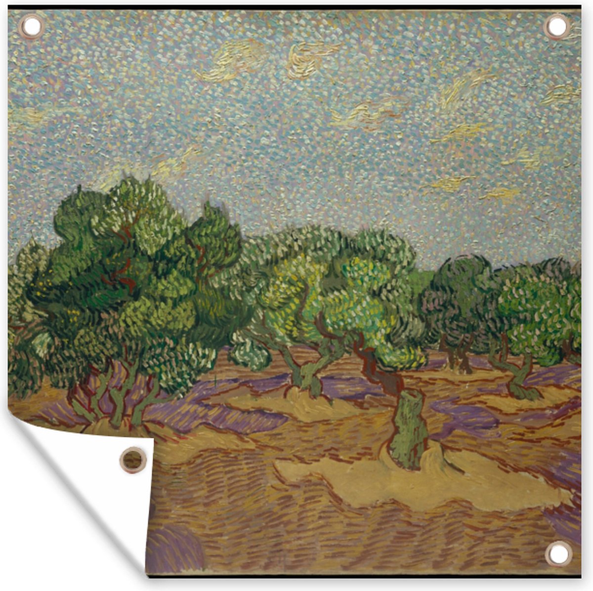 Affiche D'art Panorama - Van Gogh Oliviers 50x35 Cm - Impression Premium 250 G/m² - Décoration Murale Célèbre